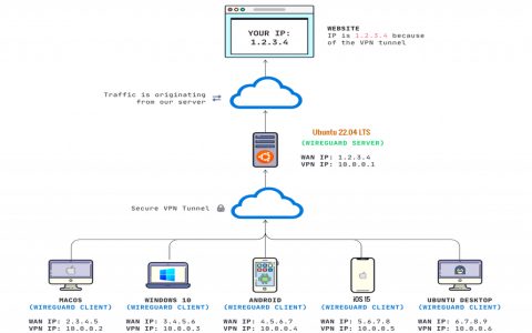 Pihole vs Adguard What are the Main Differences? Comparing Key Features to See Which Suits You Best.