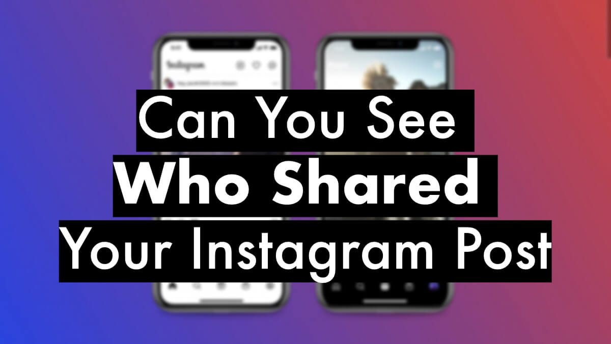 So, can you see who shared your profile on Instagram? We explain what Instagram reveals and what it hides.