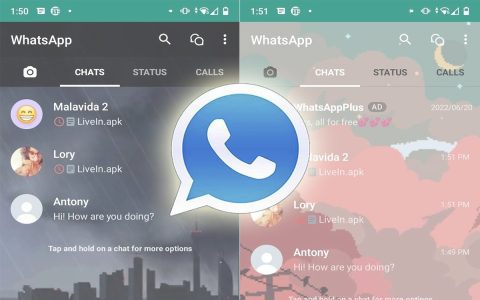 Looking to download WhatsApp profile picture? These straightforward tips will help you save them now.