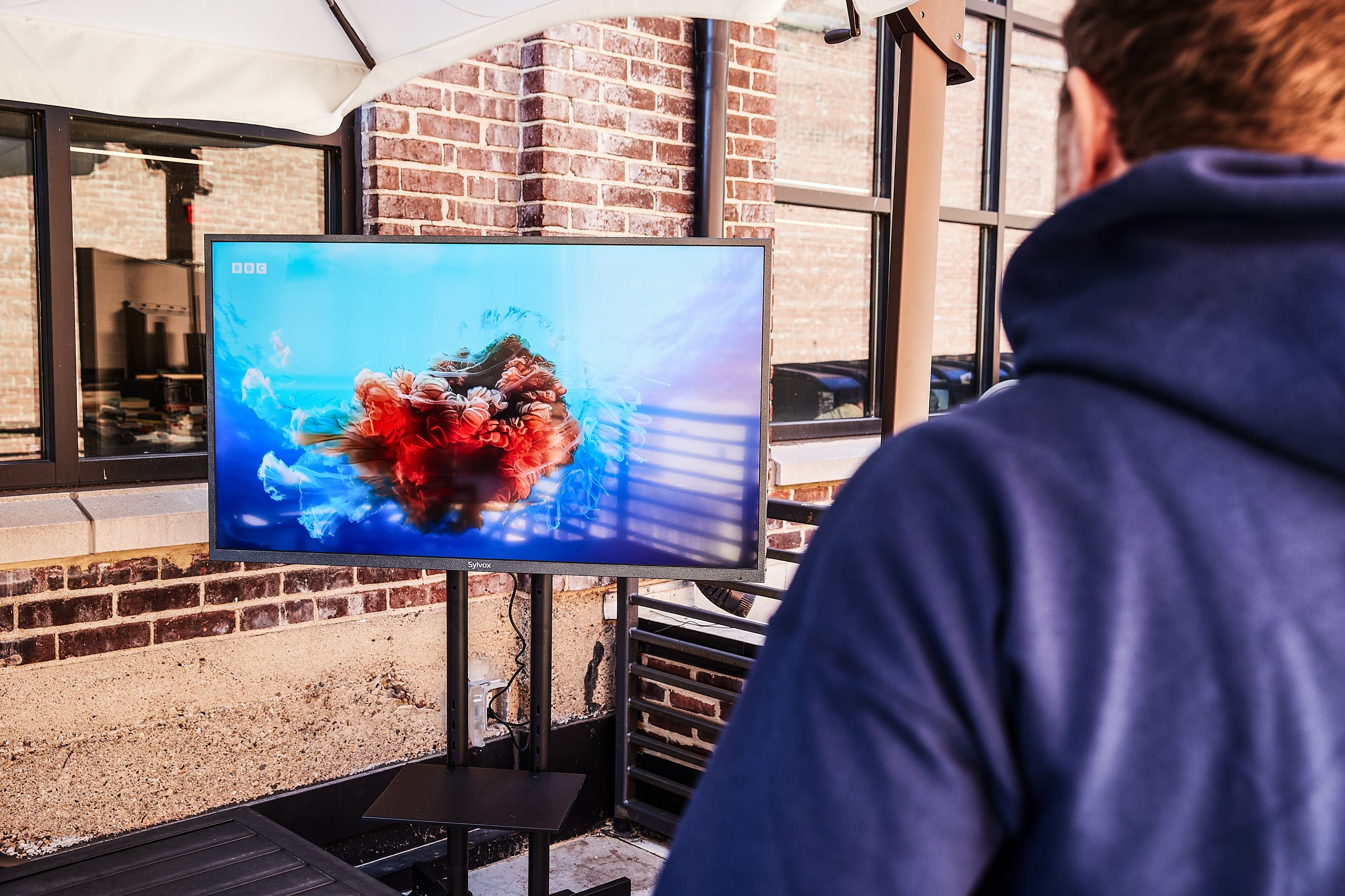Which is the best 55 inch outdoor television? Explore our top recommendations for your backyard entertainment setup.
