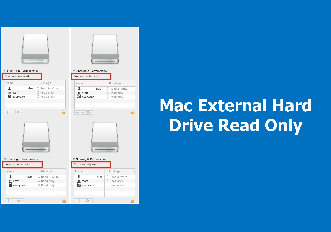 Mac read only external hard drive frustrating you? Discover top solutions to make it writable again easily.