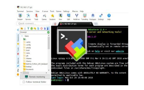 Raspberry Pi RDP: Simple Guide to Setup Rdesktop