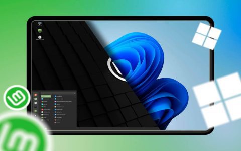 Mint vs Ubuntu: Which Linux is more user friendly? Making your choice simple.