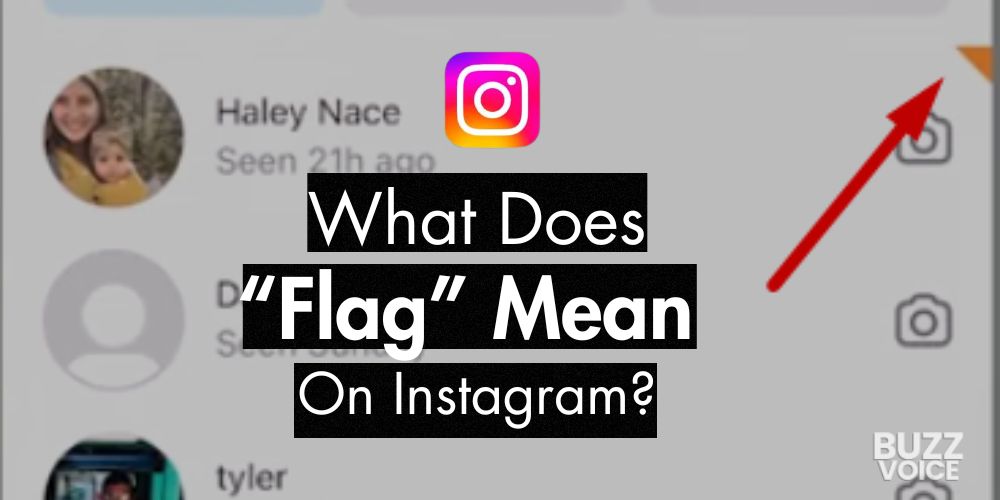 The flag meaning in Instagram fully explained: Why do people use them and what do they signify to followers?